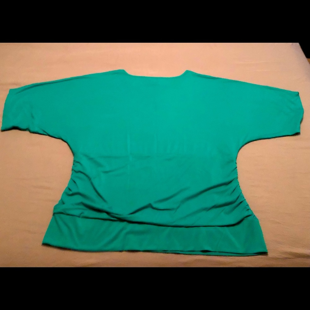 Never worn Allison Daley Plus size 3X lined around tummy area Nice green top